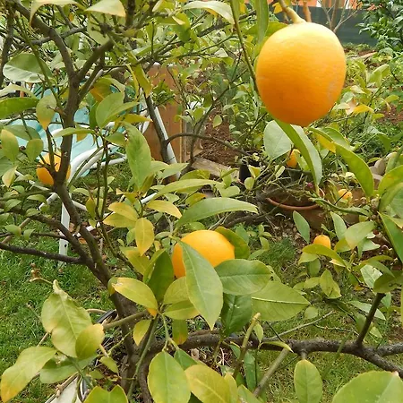 Apartman Apartments Vilanija *