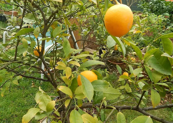 Lejlighed Apartments Vilanija *