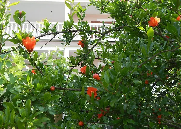 Apartments Vilanija Vilanija